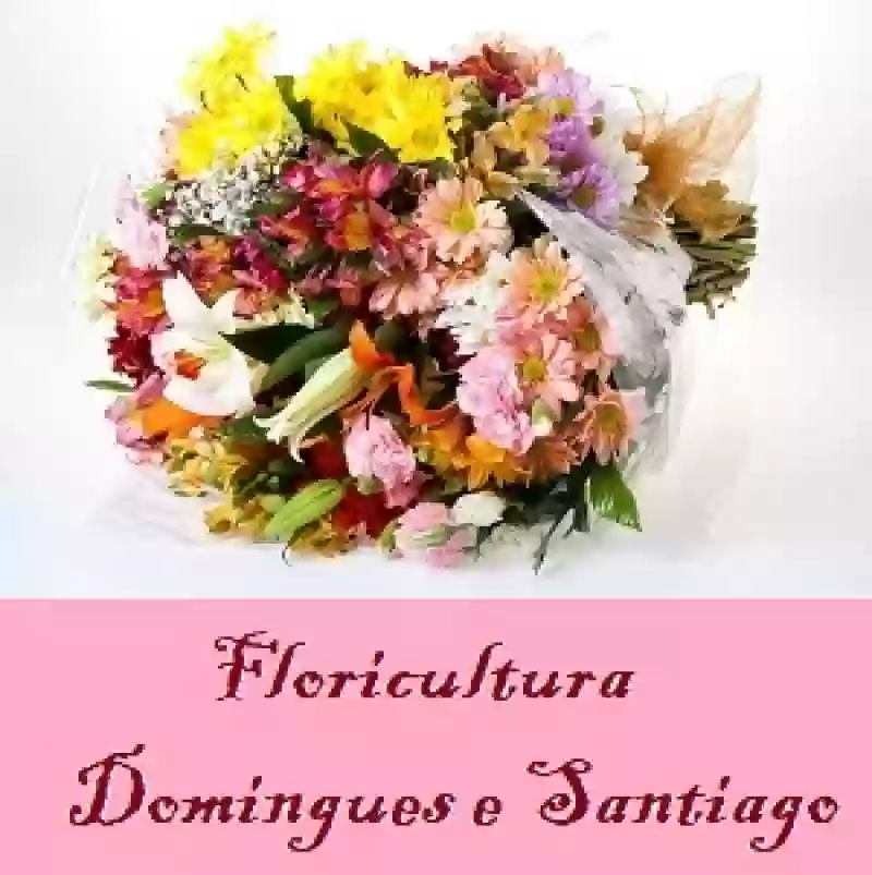 Floricultura Domingues e Santiago